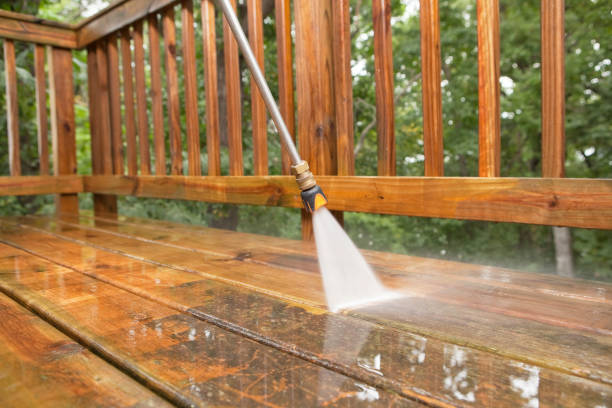 Animal Enclosure Cleaning in Harvard, NE